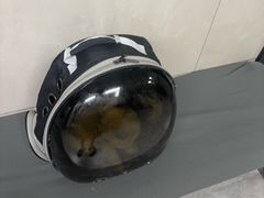 -半岛宠物医院24小时(白果林店)