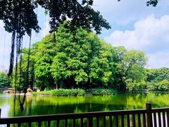 -荔湾湖公园