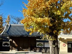 -浅草寺
