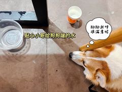 -赞酱川式烤肉(蜀都万达店)