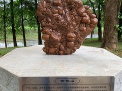 -东莞植物园