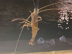-DGE季风钓虾营地·团建·聚会