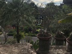 -东芭乐园