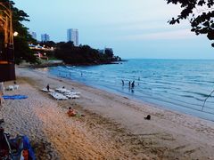 -卷心菜和避孕套餐厅(Pattaya)