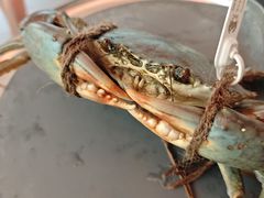 -Ministry of Crab•MOC(交子大道店)