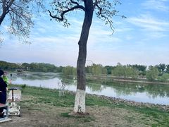 -七桥瓮公园
