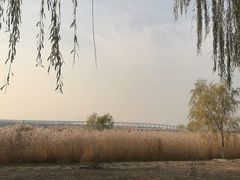-绿堤公园