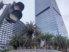 -长富金茂大厦