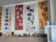-美迦爱-牙专科·兔科·骨科诊疗中心(北苑店)