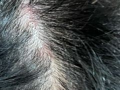 -丽市酒店(苏州平江观前街店)