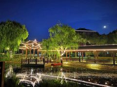 -陈金波律师 ·专注离婚案件·君澜律所