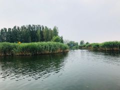 -白洋淀景区
