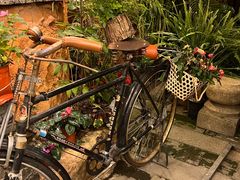 -园林美食城·本土农家菜(杨和镇店)