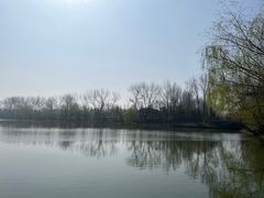 -溱湖国家湿地公园