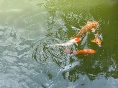 -张家港凤凰山景区河阳山歌馆