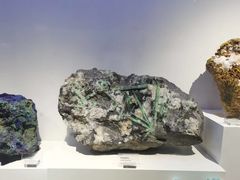 -重庆自然博物馆(新馆)
