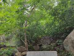 -云岫谷游猎自然风景区