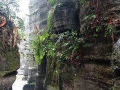 -梭布垭石林景区