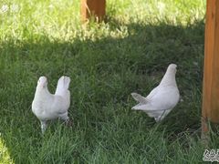 -康梦圆国际老年公寓