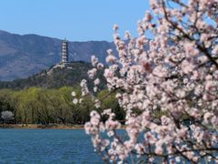 -颐和园