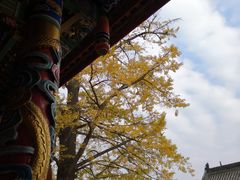 -金堂县云顶石城风景区