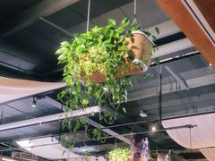 大堂-水煮三国·川鲁江湖菜(香山店)