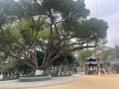 -墨池公园