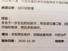 -乐派堂宠物医院·猫友好· 心脏科(东街店)