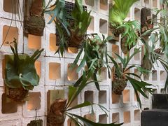 -自由生长植物工作室(深港花卉中心店)