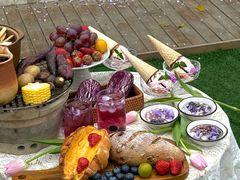 -柠檬花院烤肉·围炉煮茶·草坪团建·生日派对(三圣乡店)