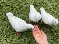 -呀诺达热带雨林