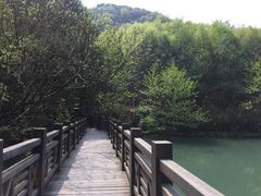-白马涧龙池景区