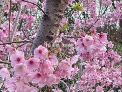 -梁鸿国家湿地公园