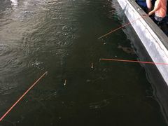 -会江钓鱼钓虾烧烤场