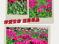 -国家植物园