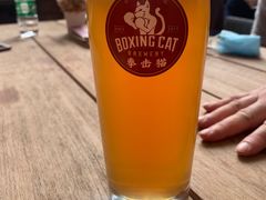 -Boxing Cat Brewery拳击猫精酿啤酒馆(永福店)