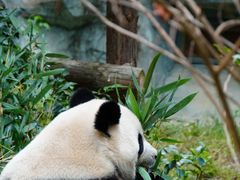 -泉州海丝野生动物世界