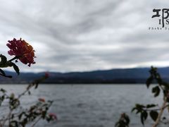 -西昌邛海湿地