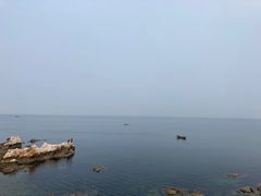 -养马岛旅游度假区