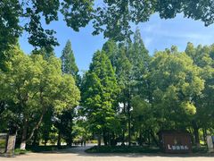-采石矶景区