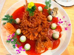 -丁老爷子苏香圆