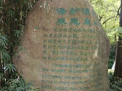 -上海吴淞炮台湾国家湿地公园