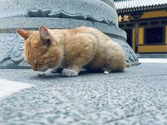 -四门塔风景区