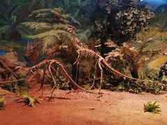 -自贡恐龙博物馆