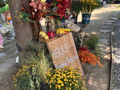 -HERRE·FARM 赫尔露营农场·团建聚会包场