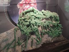 -湖南省地质博物馆