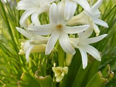 -昆山城市生态森林公园