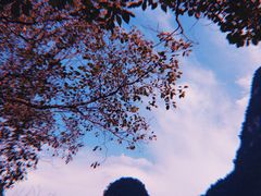 -冰泉豆浆馆(阳朔店)
