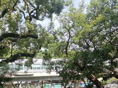 -广东胜利宾馆西关粤中餐厅