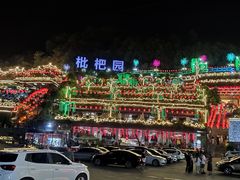 -枇杷园食为鲜火锅(南山店)